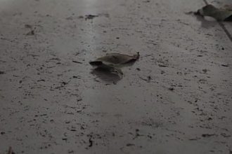 nao-adianta-limpar,-da-5-minutos-esta-sujo,-diz-moradora-de-area-com-fumaca