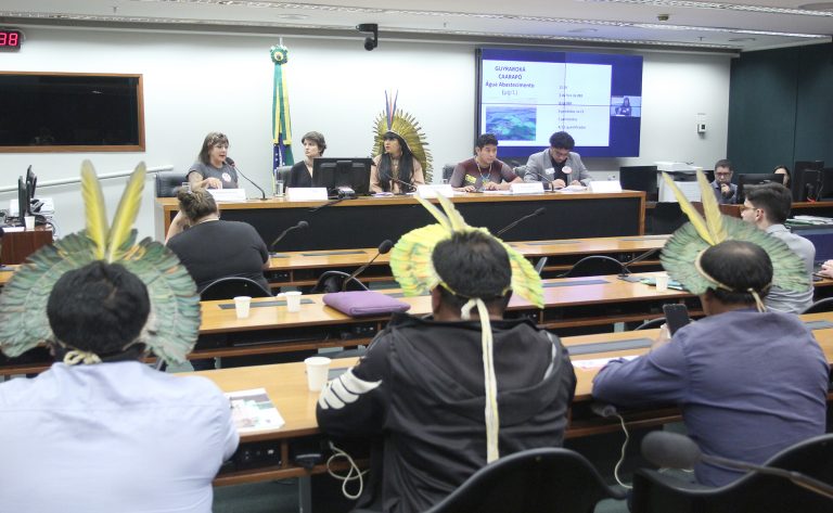 contaminacao-por-agrotoxicos-tem-afetado-comunidades-indigenas,-apontam-debatedores