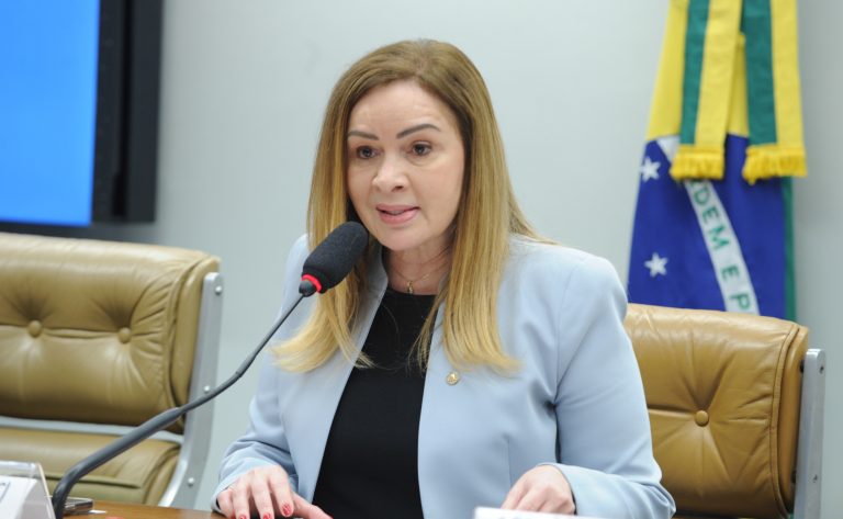 comissao-aprova-uso-do-fundo-do-clima-no-combate-a-incendios-florestais-e-desastres-naturais