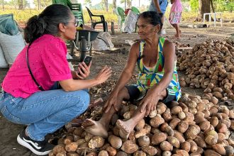aleto-abre-nesta-terca-“somos-raimundas”,-exposicao-fotografica-que-retrata-as-quebradeiras-de-coco