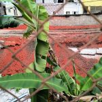 ministerio-publico-pede-para-nunes-suspender-obra-de-tunel-na-vila-mariana