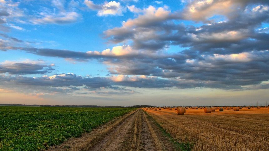 populacao-rural-acelera-queda-e-perde-4,3-milhoes-de-pessoas-no-brasil