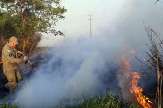 numero-de-queimadas-cresce-101%-na-regiao-de-apucarana