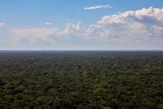 eua-anunciam-us$-50-milhoes-para-o-fundo-amazonia