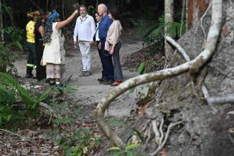 doacao-de-biden-a-amazonia-equivale-ao-envio-de-um-dia-de-armas-a-israel