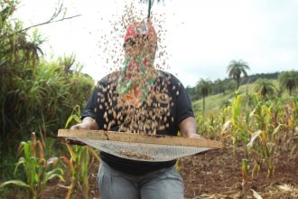 empresa-capta-a-partir-de-r$-100-para-investir-em-assentamentos-da-reforma-agraria