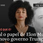 qual-o-papel-de-elon-musk-no-novo-governo-trump?