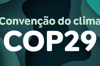 ambientalistas-dizem-que-acordo-da-cop29-e-insuficiente