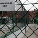 margem-equatorial:-petrobras-tera-duas-bases-para-tratar-fauna-marinha