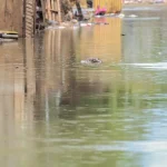 medidas-provisorias-destinam-r$-525,71-milhoes-para-rio-grande-do-sul