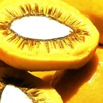 lula-sanciona-projeto-que-estimula-producao-de-frutos-do-cerrado