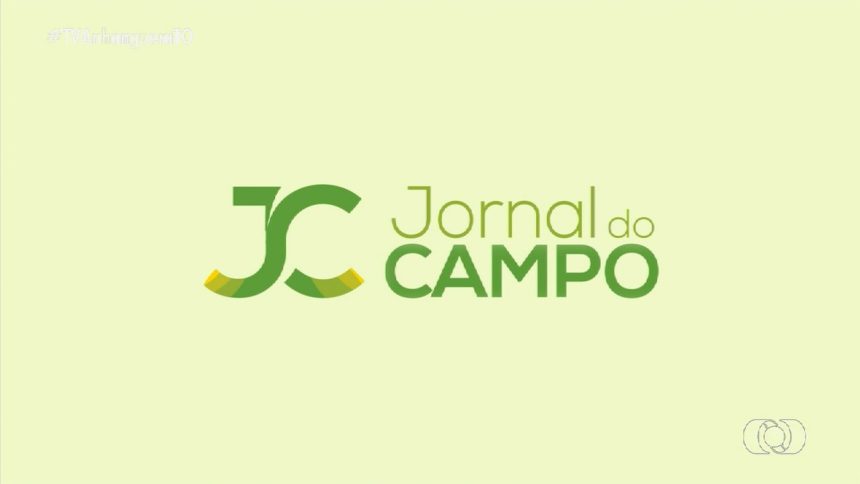 videos:-jornal-do-campo-to-de-domingo,-12-de-janeiro-de-2025