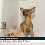 videos:-bom-dia-tocantins-de-sexta-feira,-17-de-janeiro-de-2025