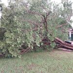 inmet-emite-alerta-de-tempestade-para-quase-todas-as-regioes-do-tocantins