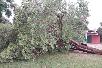 inmet-emite-alerta-de-tempestade-para-quase-todas-as-regioes-do-tocantins