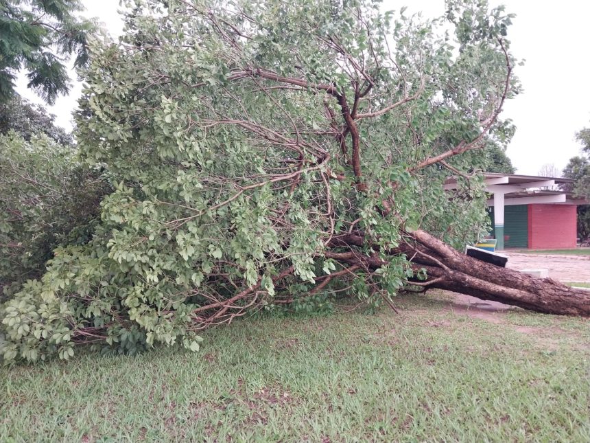 inmet-emite-alerta-de-tempestade-para-quase-todas-as-regioes-do-tocantins