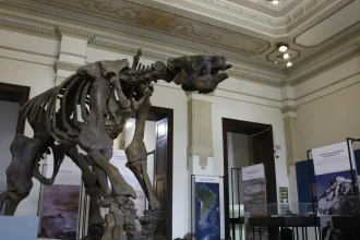 museu-de-ciencias-da-terra-sera-revitalizado-no-rio