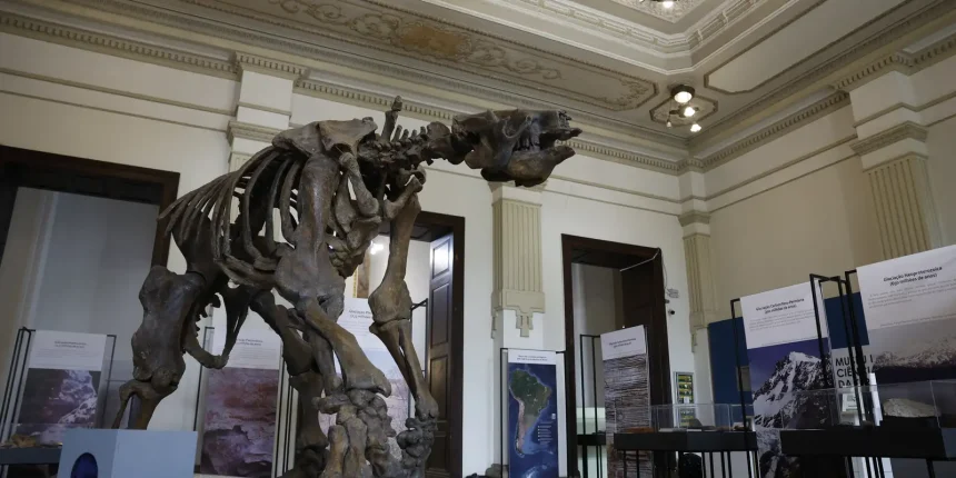 museu-de-ciencias-da-terra-sera-revitalizado-no-rio