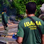 concurso-do-ibama-oferta-59-vagas-para-o-tocantins-com-salarios-a-partir-de-r$-9,9-mil;-veja-edital