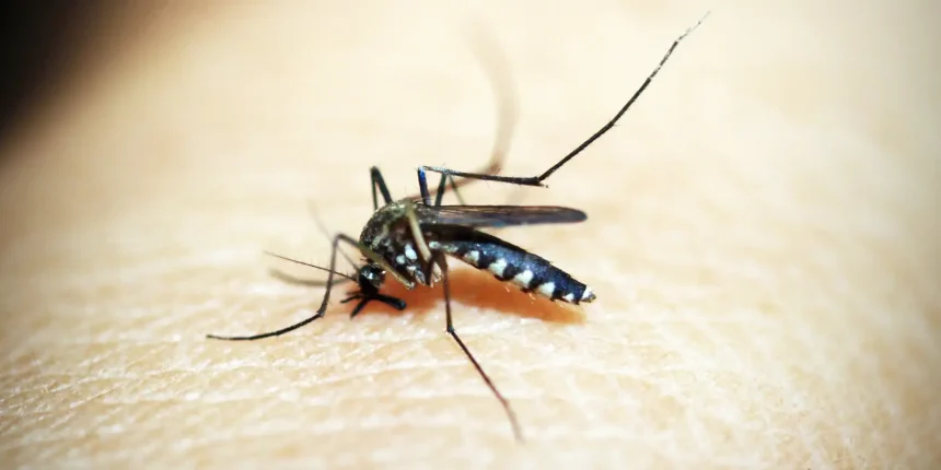 rio-de-janeiro-confirma-primeira-morte-por-dengue-este-ano