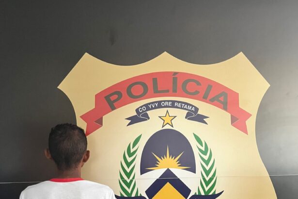 homem-e-condenado-a-22-anos-de-prisao-por-matar-mulher-com-golpe-de-picareta-na-cabeca