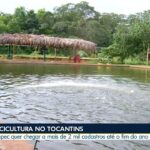 videos:-bom-dia-tocantins-de-quarta-feira,-19-de-fevereiro-de-2025