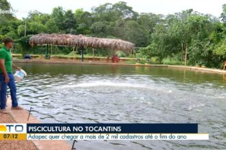 videos:-bom-dia-tocantins-de-quarta-feira,-19-de-fevereiro-de-2025