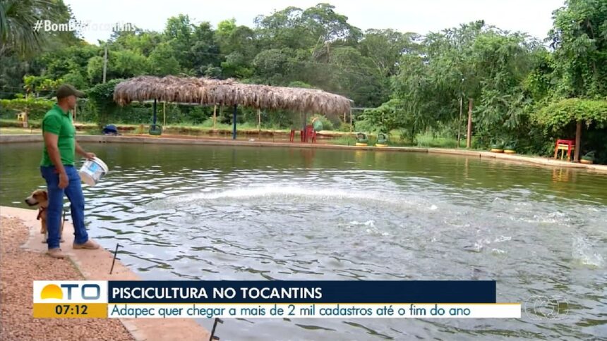 videos:-bom-dia-tocantins-de-quarta-feira,-19-de-fevereiro-de-2025