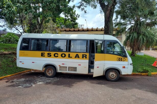 dois-micro-onibus-escolares-sao-apreendidos-no-parana-com-placas-clonadas-do-tocantins-e-alerta-de-furto,-diz-policia