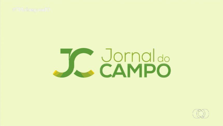 videos:-jornal-do-campo-–-to-de-domingo,-23-de-fevereiro