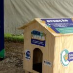 casinha,-racao-e-microchip:-prefeitura-de-palmas-anuncia-projetos-de-cuidados-para-animais-de-rua