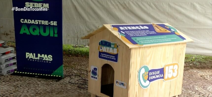 casinha,-racao-e-microchip:-prefeitura-de-palmas-anuncia-projetos-de-cuidados-para-animais-de-rua