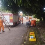 mulher-cai-dentro-de-fossa-de-3-metros-ao-tentar-pegar-manga-e-precisa-ser-resgatada-pelos-bombeiros