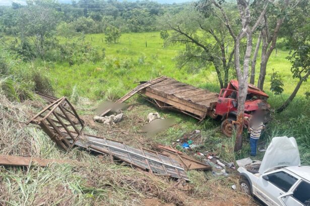 acidente-entre-dois-caminhoes-e-um-carro-deixa-bois-mortos-na-to-050