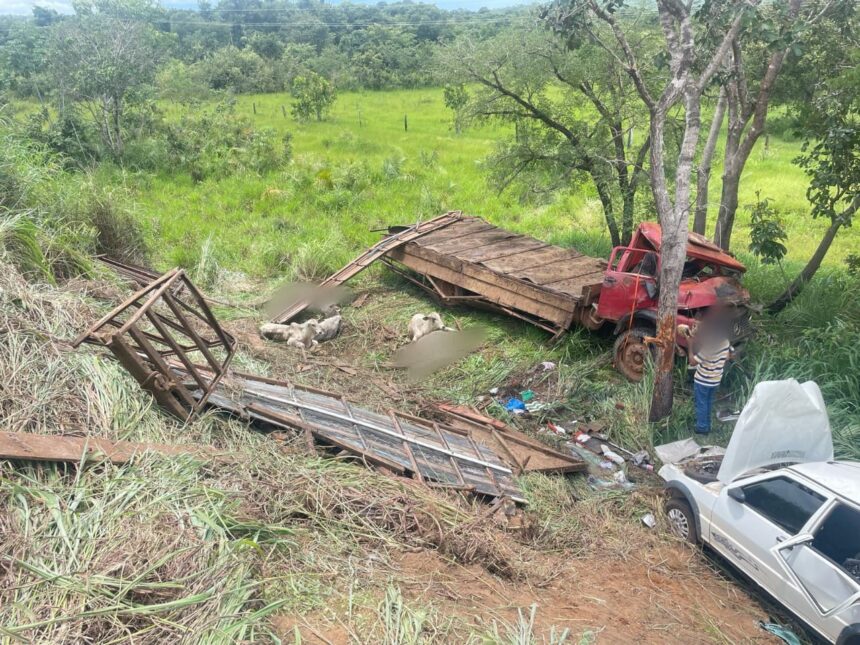 acidente-entre-dois-caminhoes-e-um-carro-deixa-bois-mortos-na-to-050