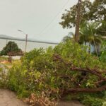 video:-chuva-com-ventos-derruba-teto-de-rodoviaria,-arvores-e-causa-mais-estragos-em-porto-nacional