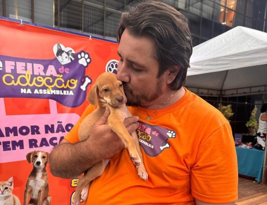 feira-de-adocao-da-aleto-emociona-e-garante-novos-lares-para-caes-e-gatos-resgatados