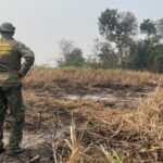 brasil-reduz-70%-da-area-queimada-no-primeiro-trimestre-de-2025