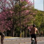 dois-tercos-dos-brasileiros-moram-em-ruas-arborizadas