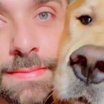 apos-caso-joca,-senado-aprova-regras-para-transporte-aereo-de-animais