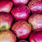 exportacao-de-frutas-cresceu-26%-no-primeiro-trimestre-de-2025