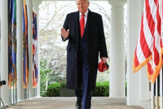 anistia-internacional:-efeito-trump-coloca-em-risco-bilhoes-de-pessoas