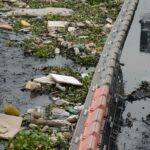 baia-de-guanabara-recebe-3-milhoes-de-litros-de-chorume-por-dia