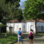 programacao-no-mast-lembra-os-100-anos-de-visita-de-eisntein-ao-brasil