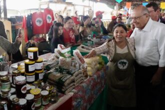 alckmin-deve-representar-o-brasil-em-missa-inaugural-de-leao-xiv