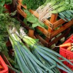 custo-de-cesta-basica-ideal-para-uma-pessoa-chega-a-r$-432-em-abril