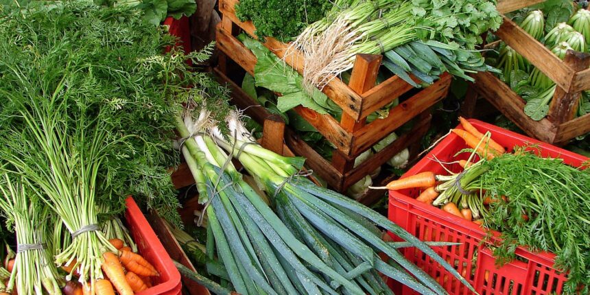 custo-de-cesta-basica-ideal-para-uma-pessoa-chega-a-r$-432-em-abril