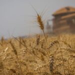 conab-prorroga-inscricoes-para-concurso-ate-20-de-maio