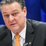 gripe-aviaria-nao-deve-impactar-preco-da-carne-de-frango,-diz-ministro