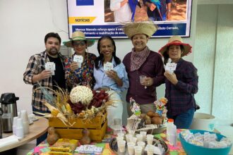 escola-do-legislativo-da-aleto-realiza-arraia-da-pipoca